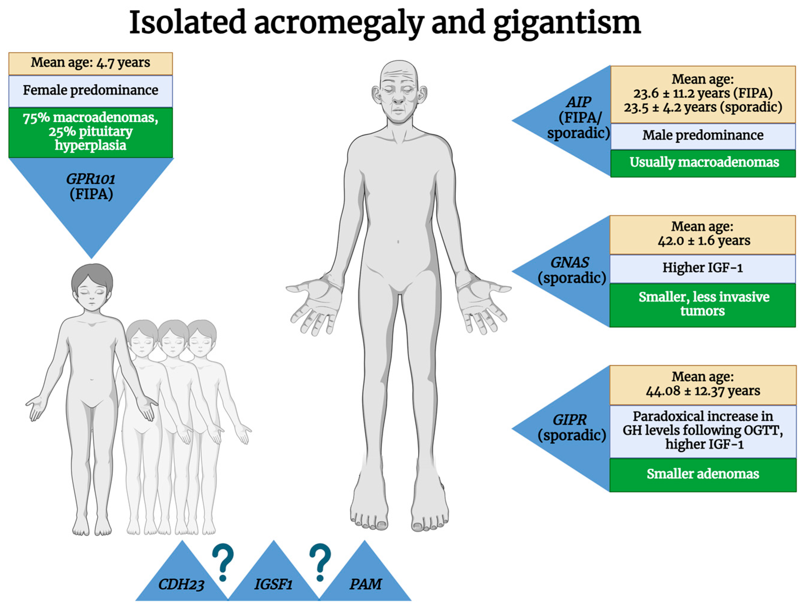1761312593509 1761312593509