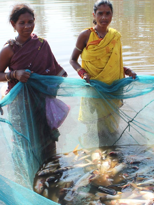 WS Poster 640 x 853 2 1732109772