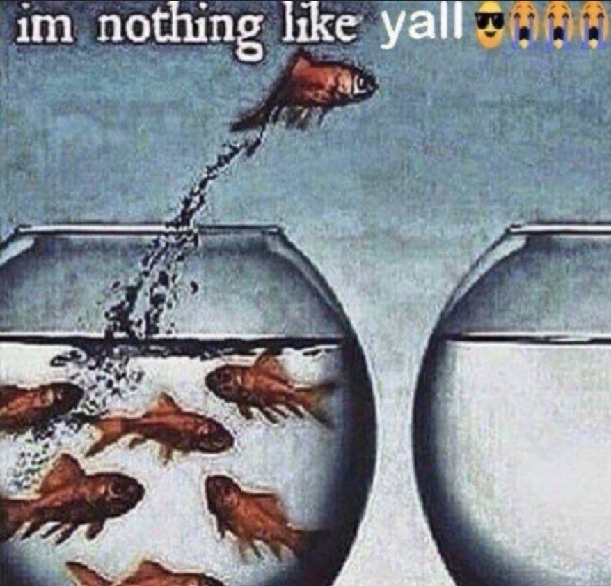 1000005248