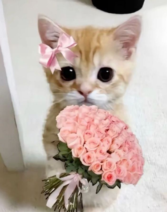 154745ca0997a0f03145d112ebc0c190 154745ca0997a0f03145d112ebc0c190