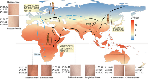 Mec17369 fig 0001 m Mec17369 fig 0001 m
