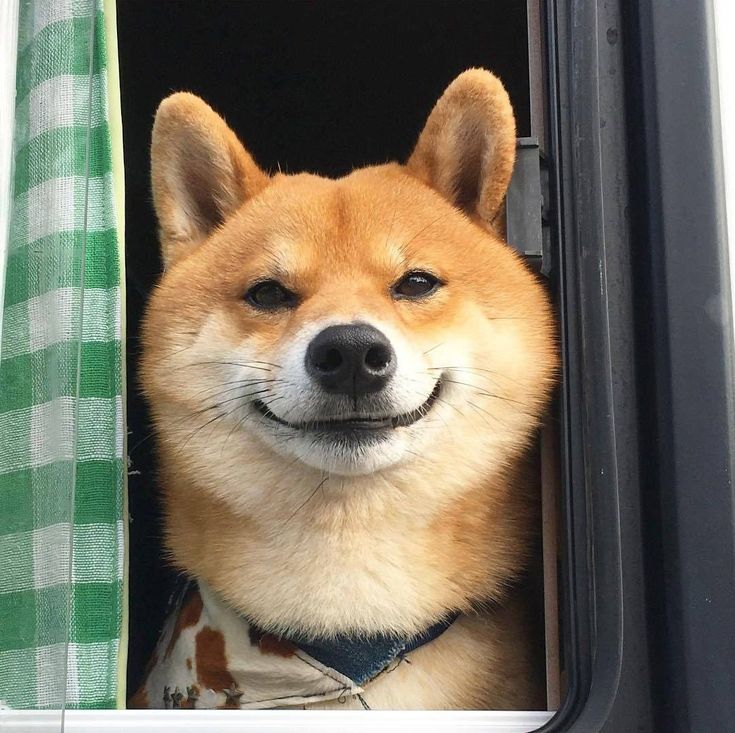 1000006023
