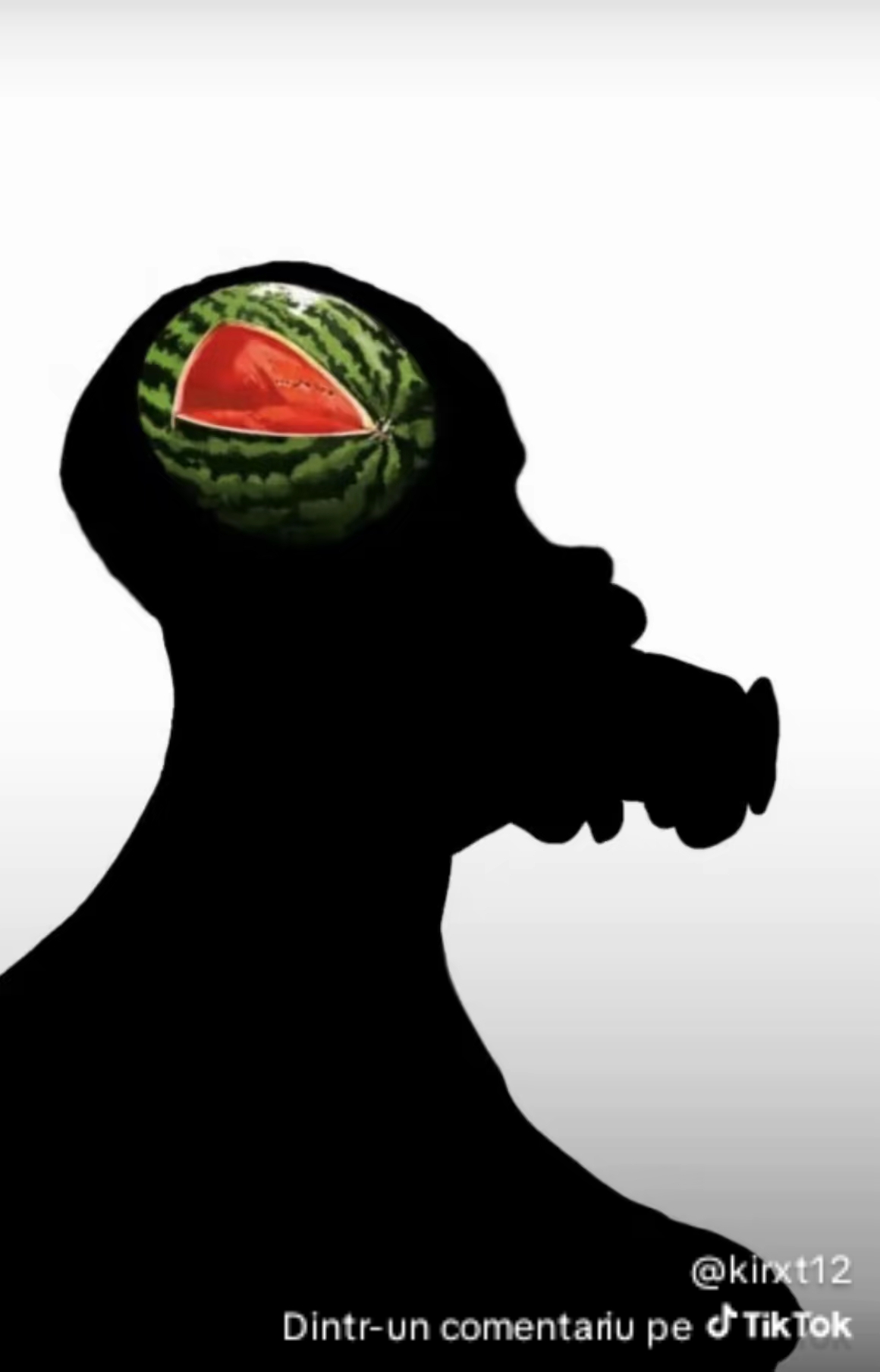 1000209352 1000209352