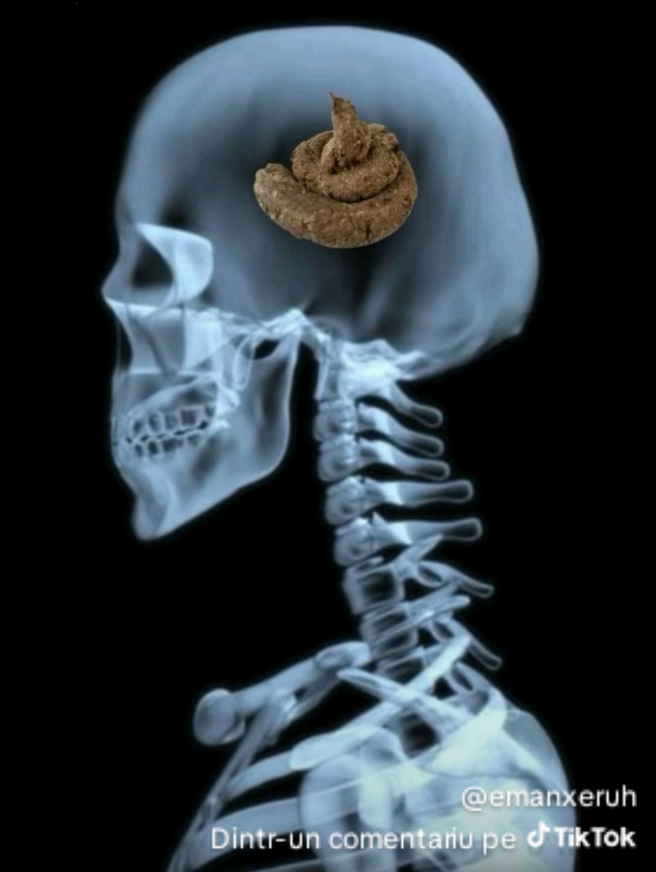 1000211216 1000211216