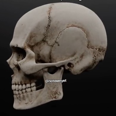 VideoCapture 20250427 201436