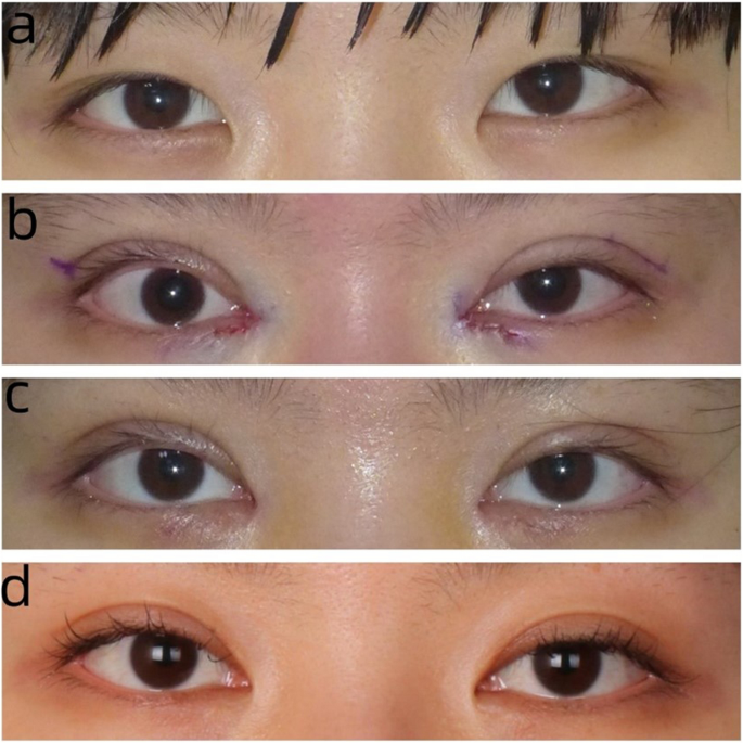 12886 2025 4123 Fig5 HTML 12886 2025 4123 Fig5 HTML