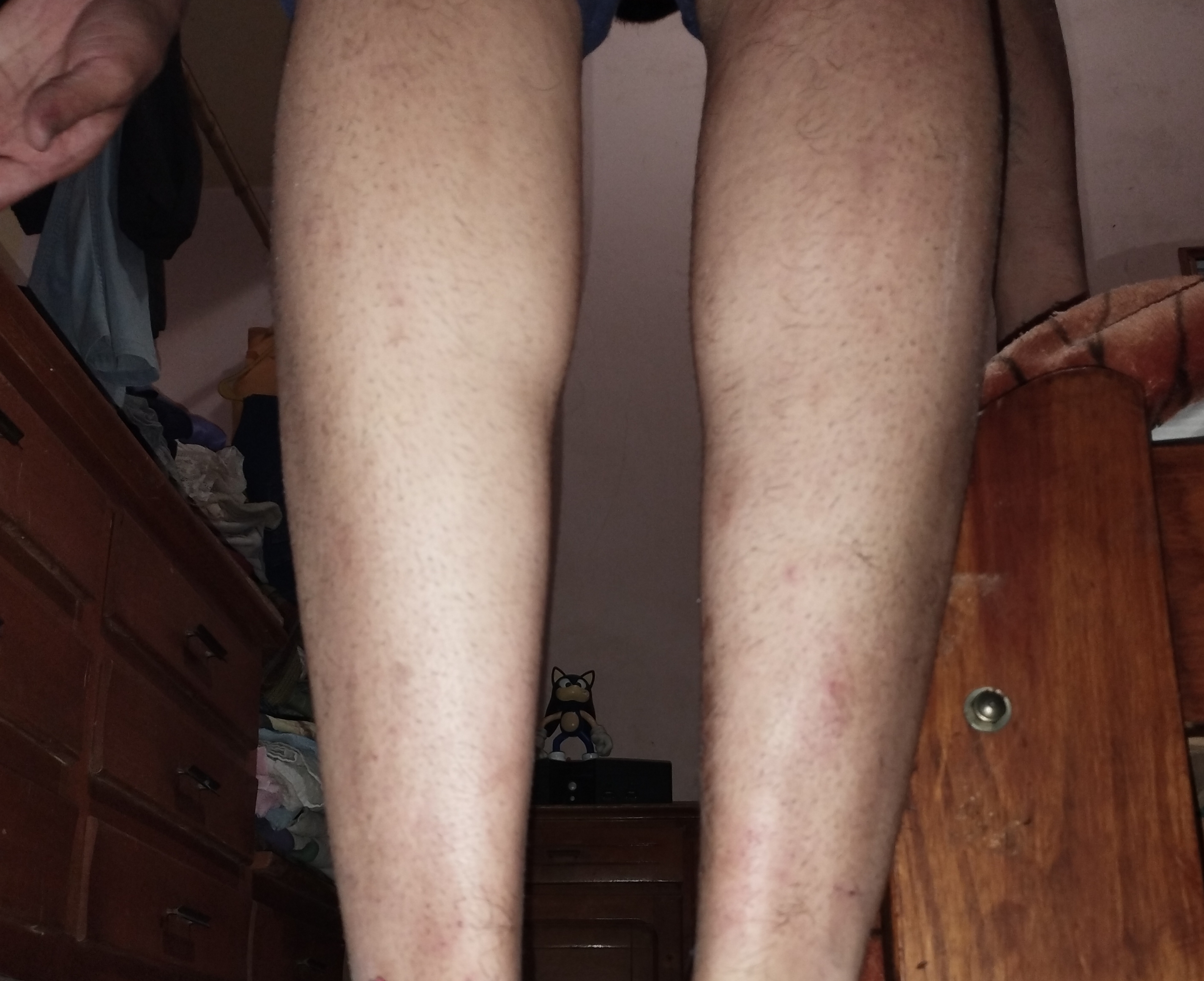 IMG 20251025 233158 IMG 20251025 233158