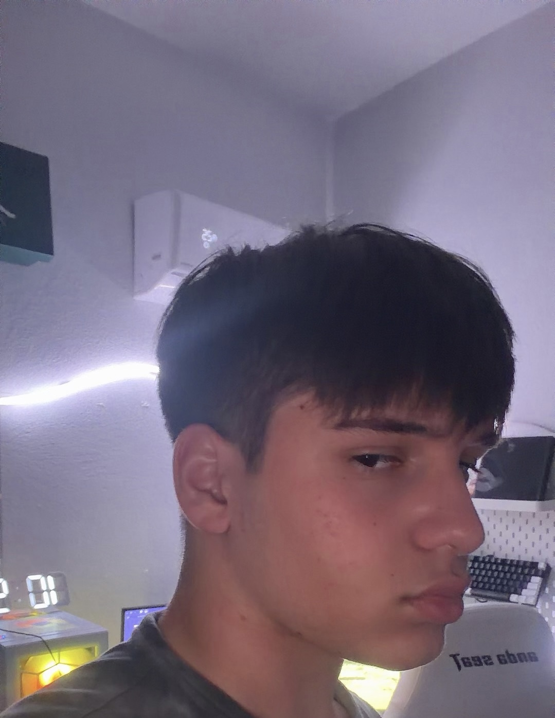 IMG 1238