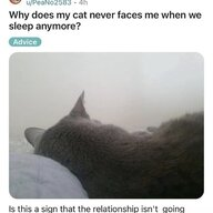 1761493505384 1761493505384