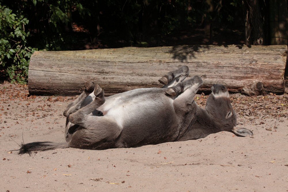 1761511521174 1761511521174