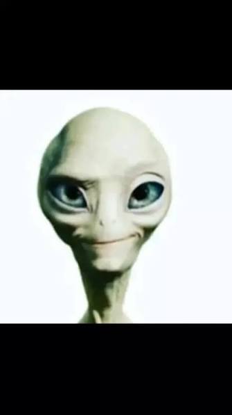 1761519805451