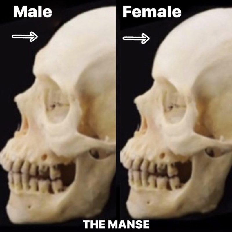 8199