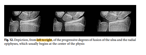 1761585544024 1761585544024