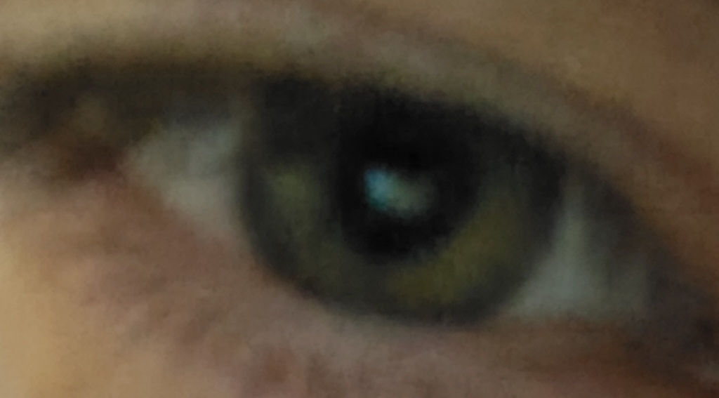 1000001643 1000001643