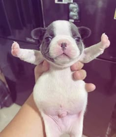 1761589209205 1761589209205