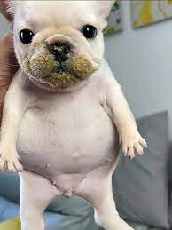 1761589237945 1761589237945