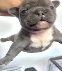 1761589276508 1761589276508