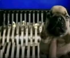 1761589387026 1761589387026