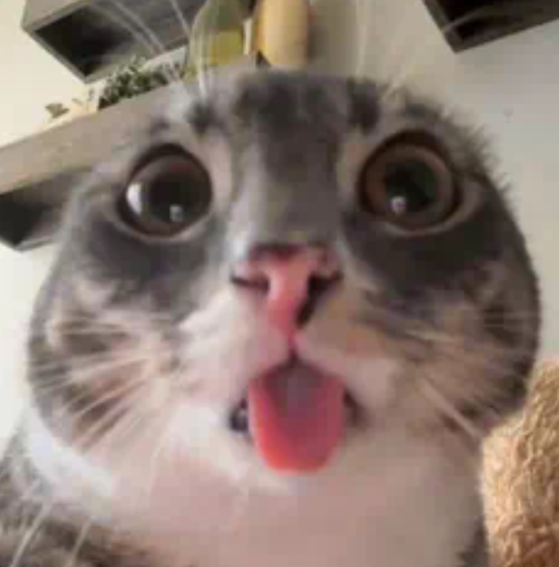 1000007203 1000007203