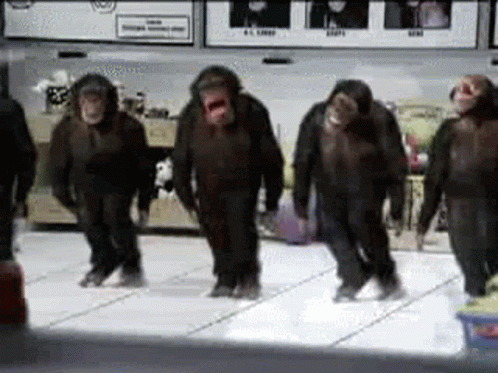 Dancing monkeys
