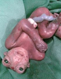 Screenshot 2024 12 29 231411