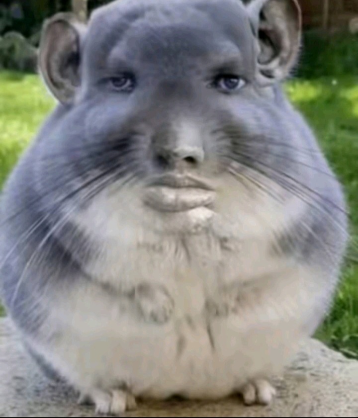 Screenshot 20251022 223542 TikTok