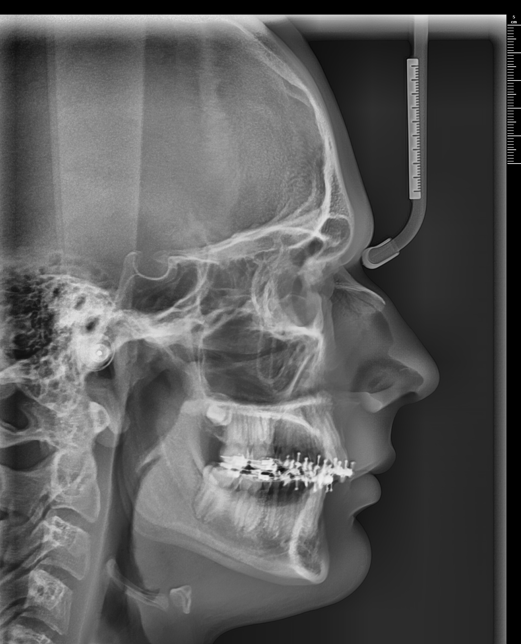 1761660725291 1761660725291