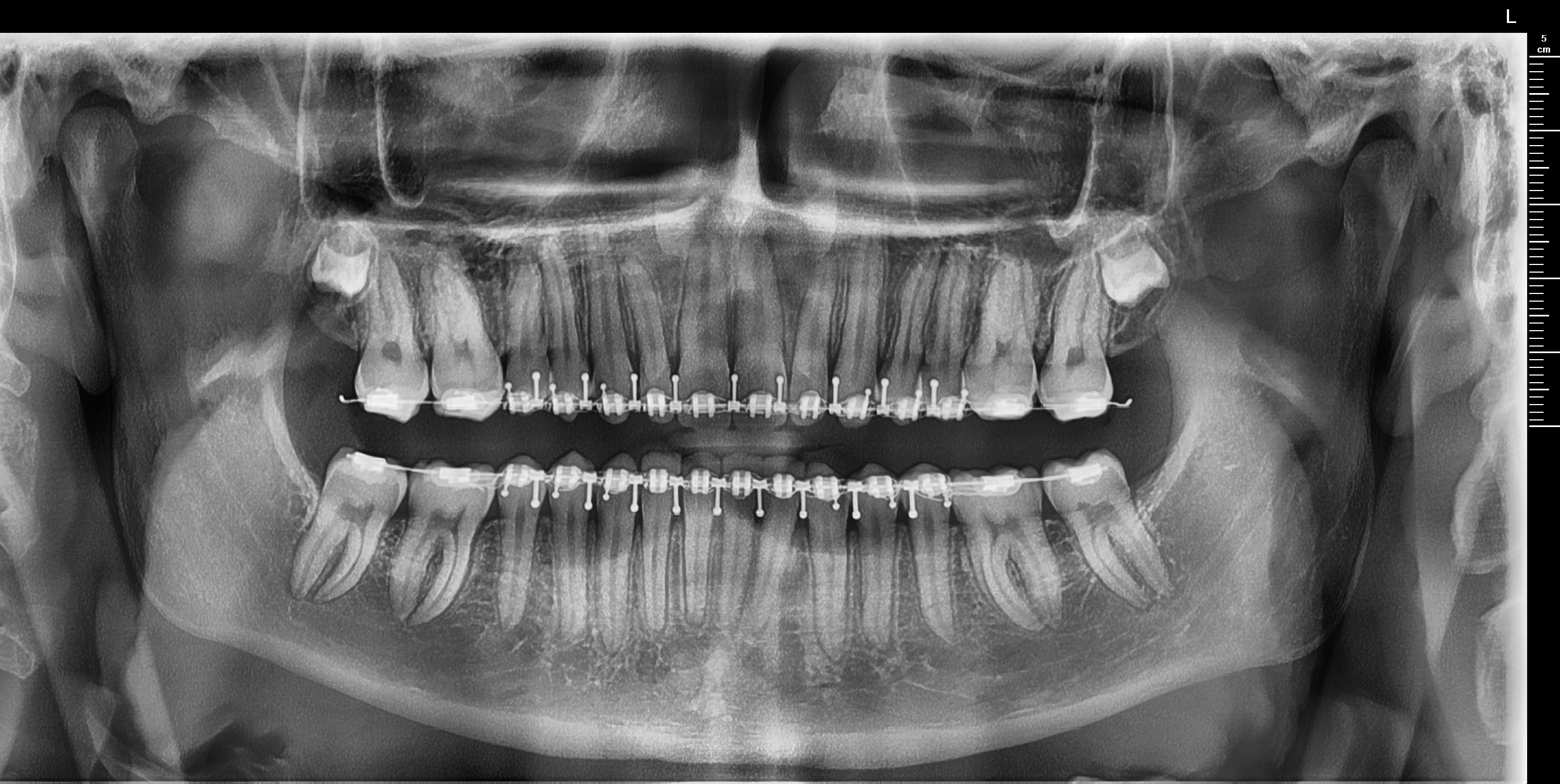 1761660760074 1761660760074