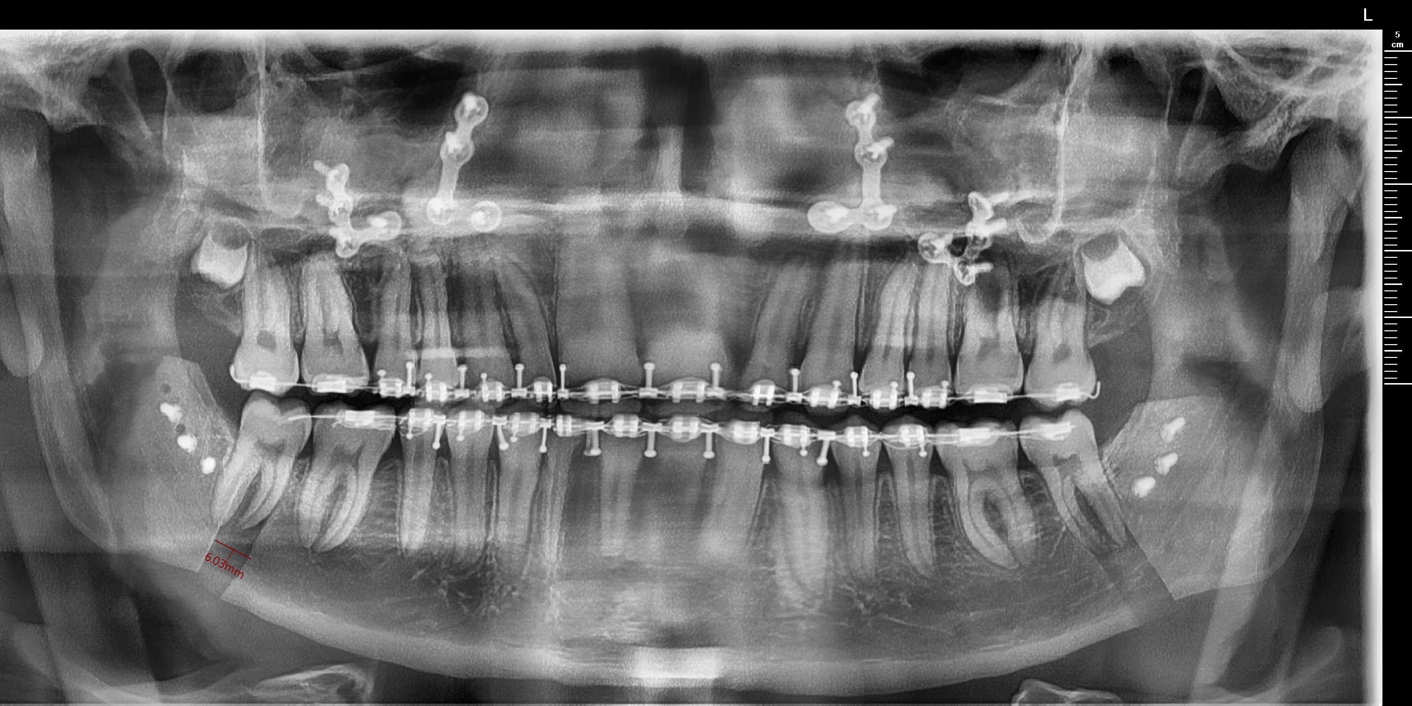 1761660933417 1761660933417