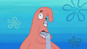 1761672334277 1761672334277