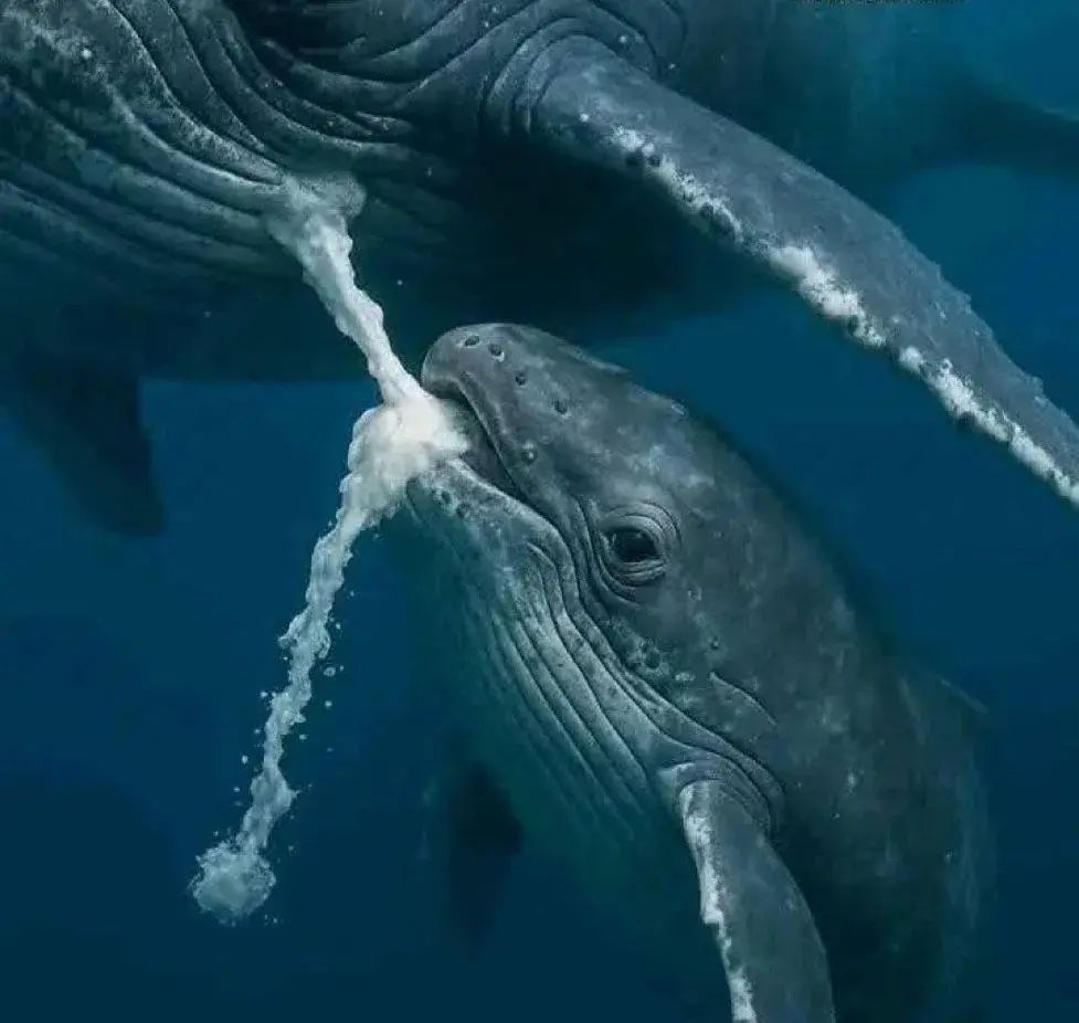 1761677371917 1761677371917