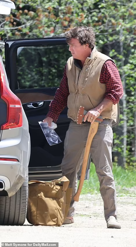 Image 2025 10 28 205100434 Image 2025 10 28 205100434