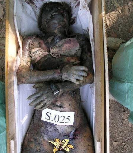 Photo 2025 10 11 17 03 48