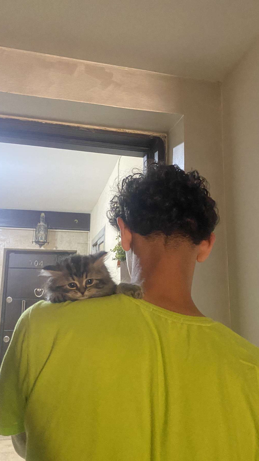 93DAC0C9 B3C2 4BF8 BC86 5AECA892A427 93DAC0C9 B3C2 4BF8 BC86 5AECA892A427