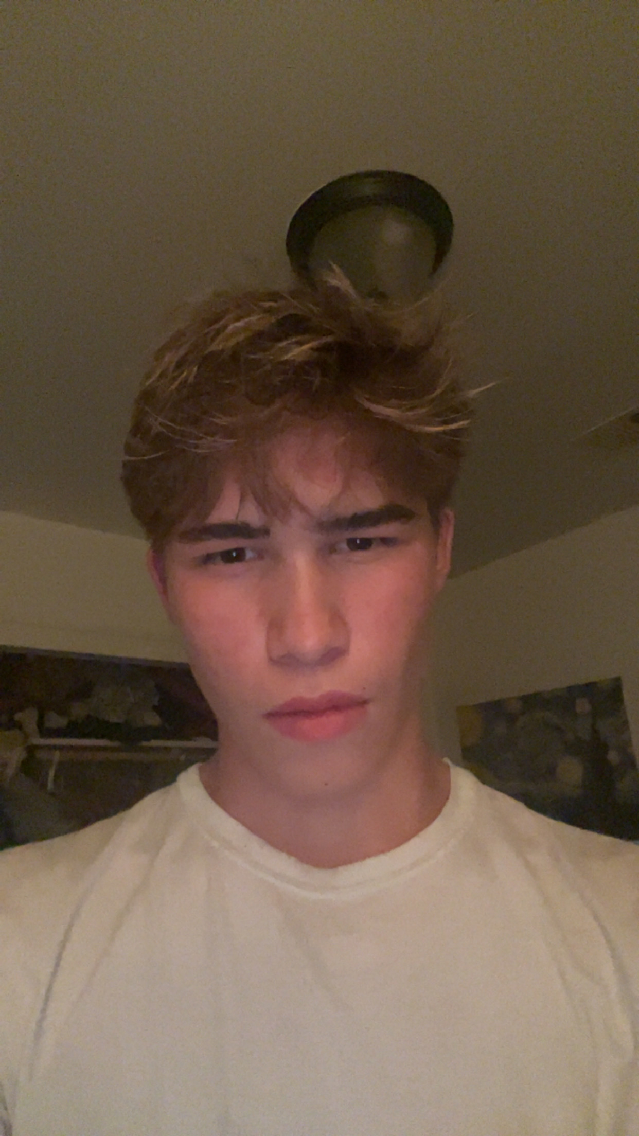 IMG 1375