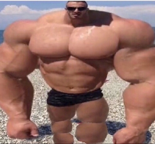 1000041784 1000041784