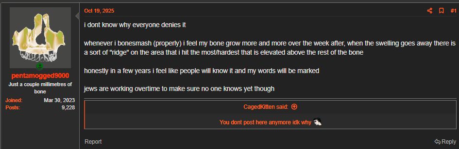 1761739092435 1761739092435