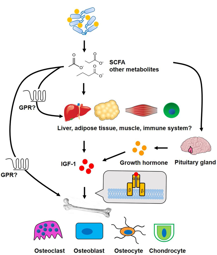 1761748552697 1761748552697