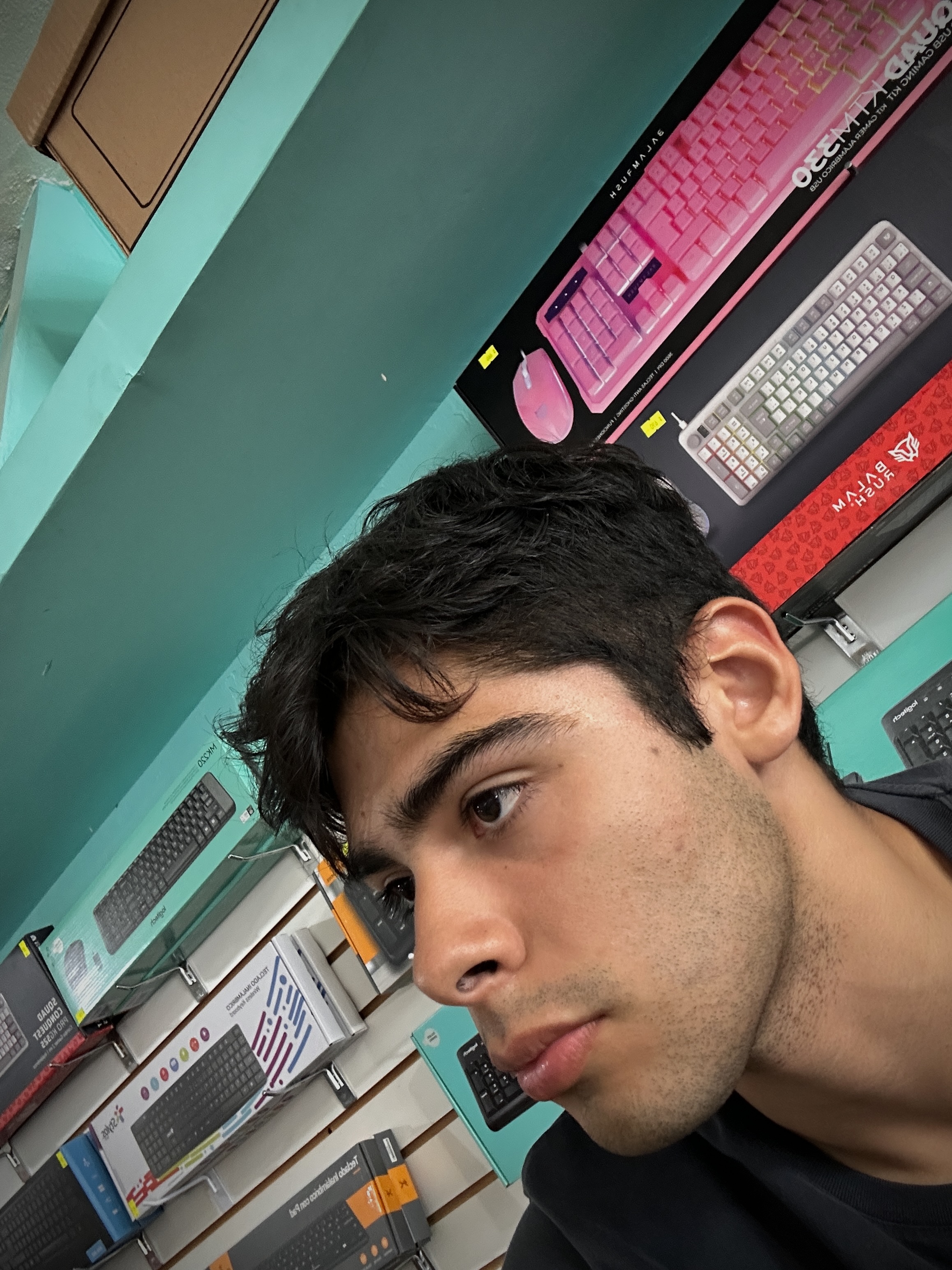 IMG 0108
