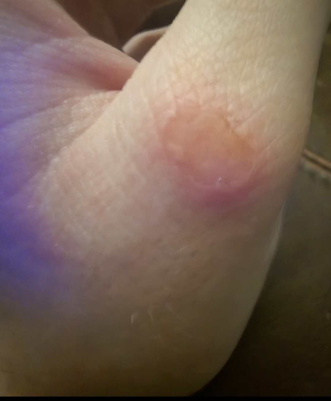 Screenshot 20251030 002532 Gallery