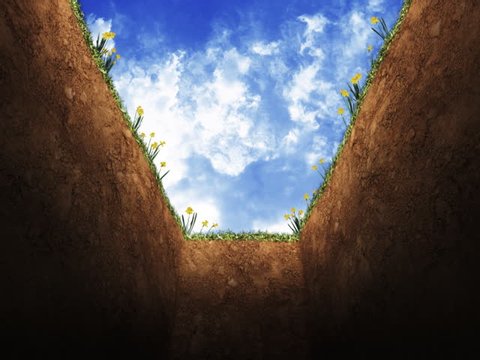 1000015536 1000015536