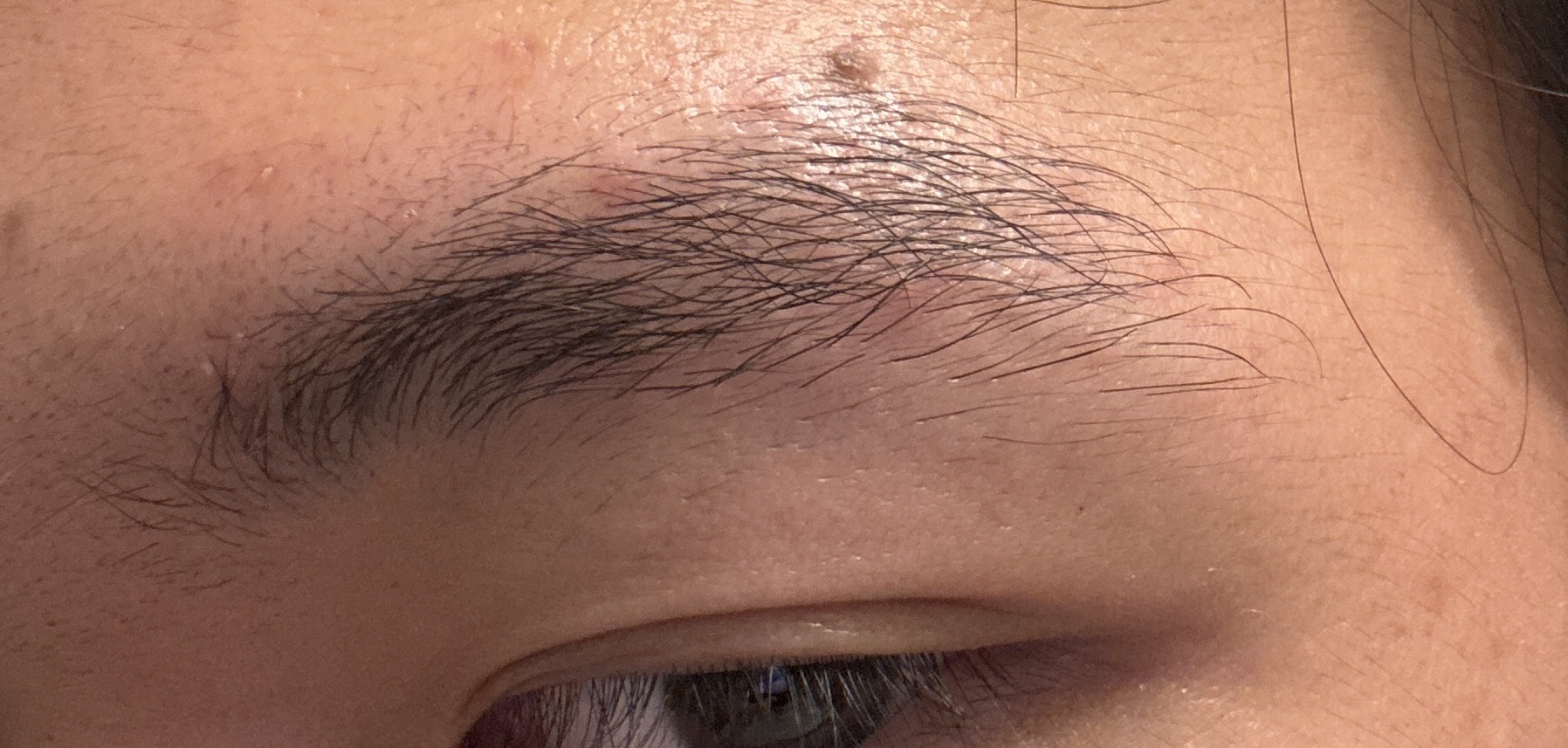 IMG 1D612FD6 AEAD 4084 A6E5 59ED26DB1130