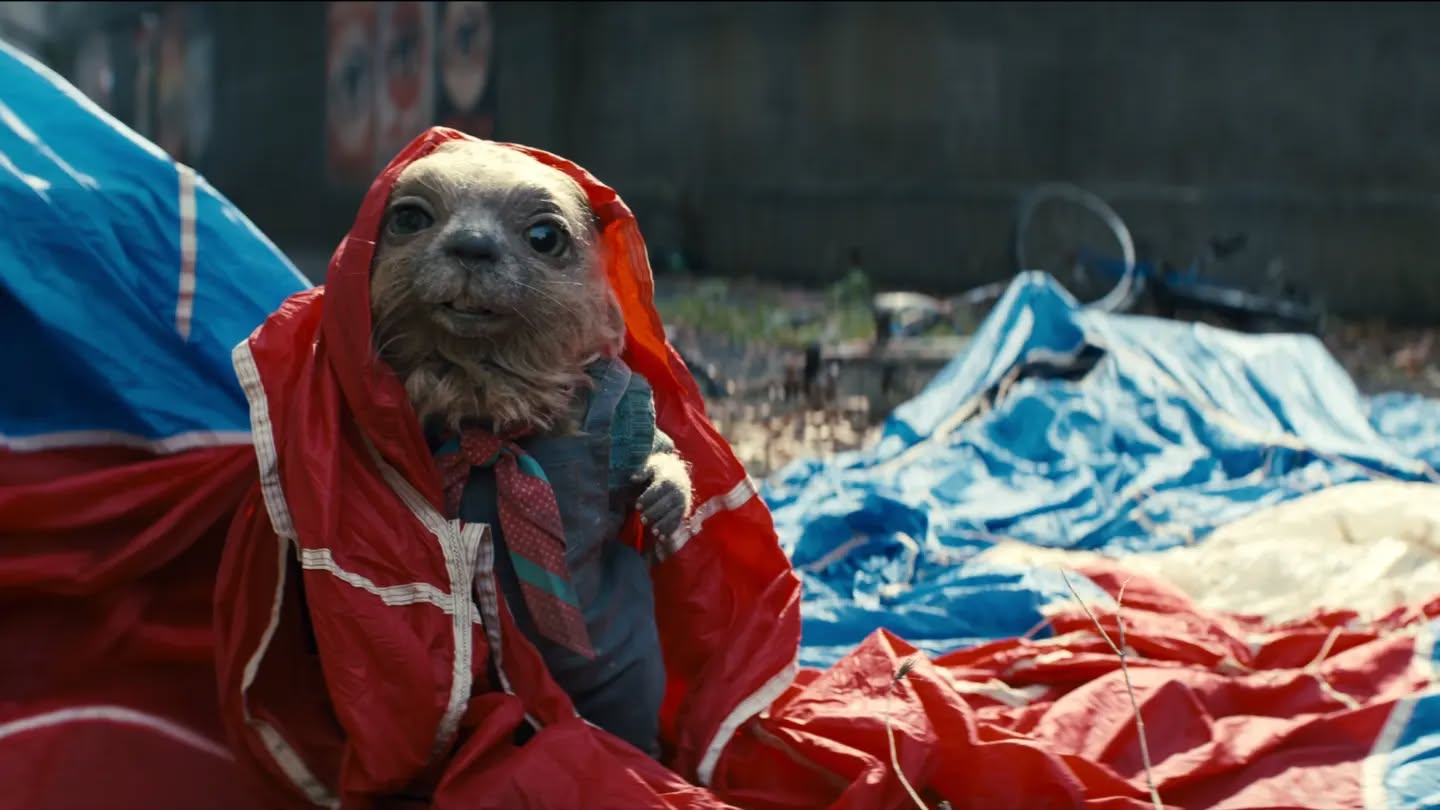 345220748 718627643391759 2788807875787180142 n