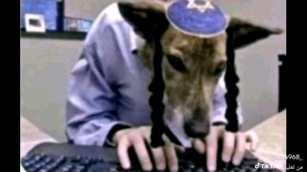 Screenshot 2025 10 02 16 20 49 944 comzhiliaoappmusically edit