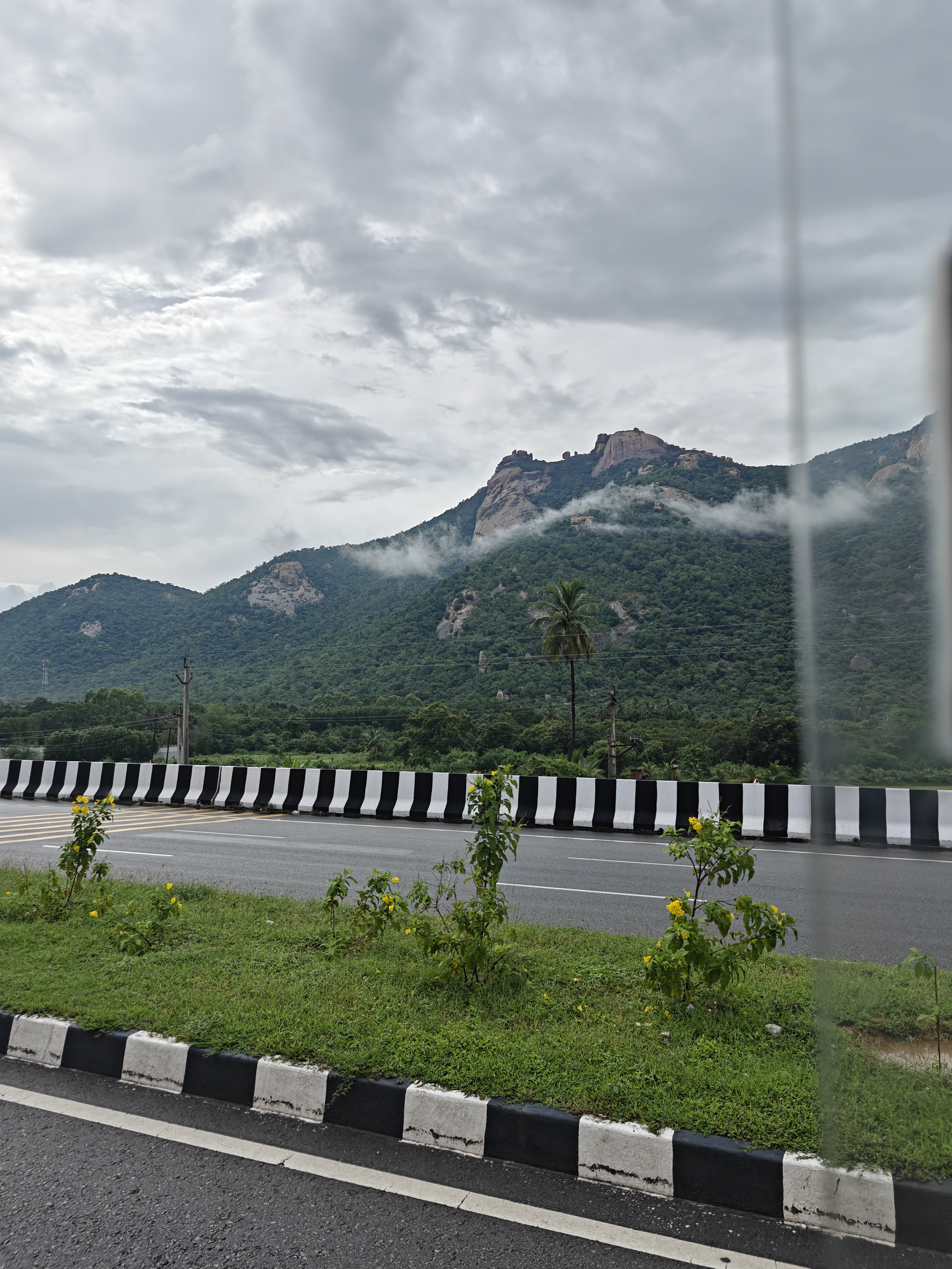 1000109140 1000109140