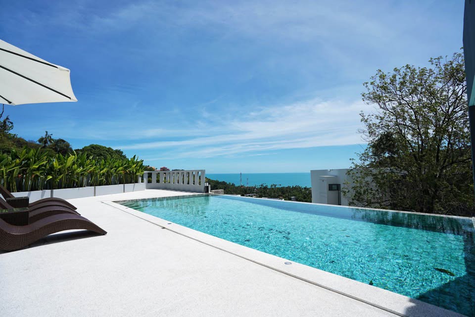 568456551 1730517875001856 3380257117046885964 n 568456551 1730517875001856 3380257117046885964 n