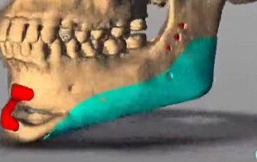 1761851269165 1761851269165