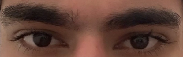 Image 2025 10 30 211504709 Image 2025 10 30 211504709