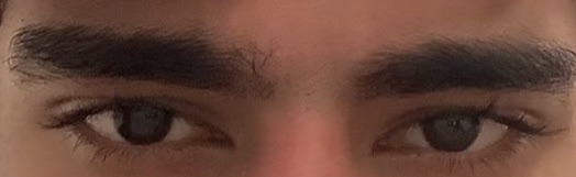 Image 2025 10 30 211522901 Image 2025 10 30 211522901