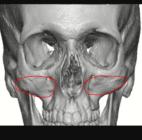 1761857432954 1761857432954